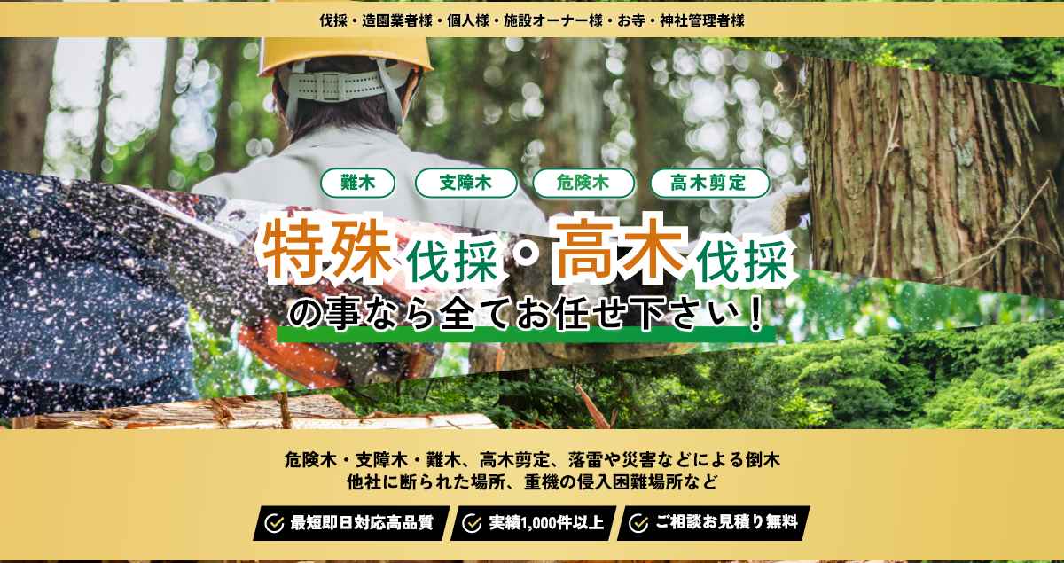 高木伐採•特殊伐採します。 高木伐採・特殊伐採 – 道心造園